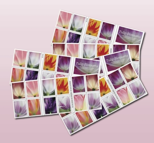 Tulip Blossoms Postage Stamps Forever