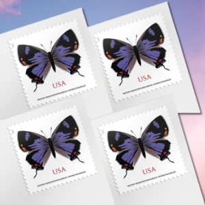 Colorado Hairstreak Postage Stamps Forever