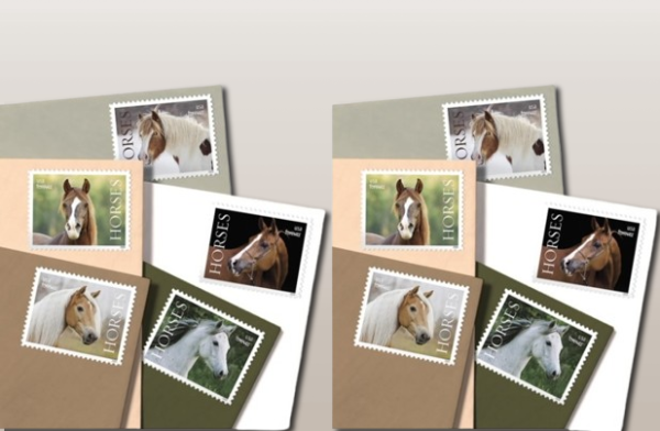 Horses Postage Stamps Forever - Image 2