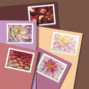 2025 Dahlias Postage Stamps Forever