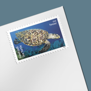 Protect Sea Turtles Postage Stamps Forever